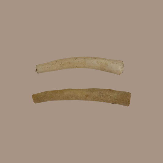 Beef Tails